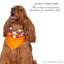 beaded dog necklace Halloween Ghost Dog Collar Charm by Life for Pawz – Handmade for pets