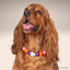 beaded dog necklace Halloween Ghost Dog Collar Charm by Life for Pawz – Handmade for pets