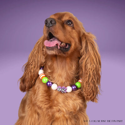 beaded dog necklace Halloween Skeleton Beaded Charm by Life for Pawz – Handmade for pets