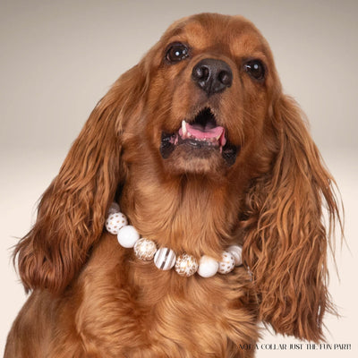 beaded dog necklace New Year’s Gold Charm by Life for Pawz – Handmade for pets