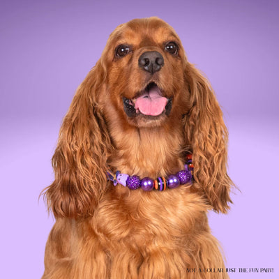 beaded dog necklace Orange & Purple Beads by Life for Pawz – Handmade for pets