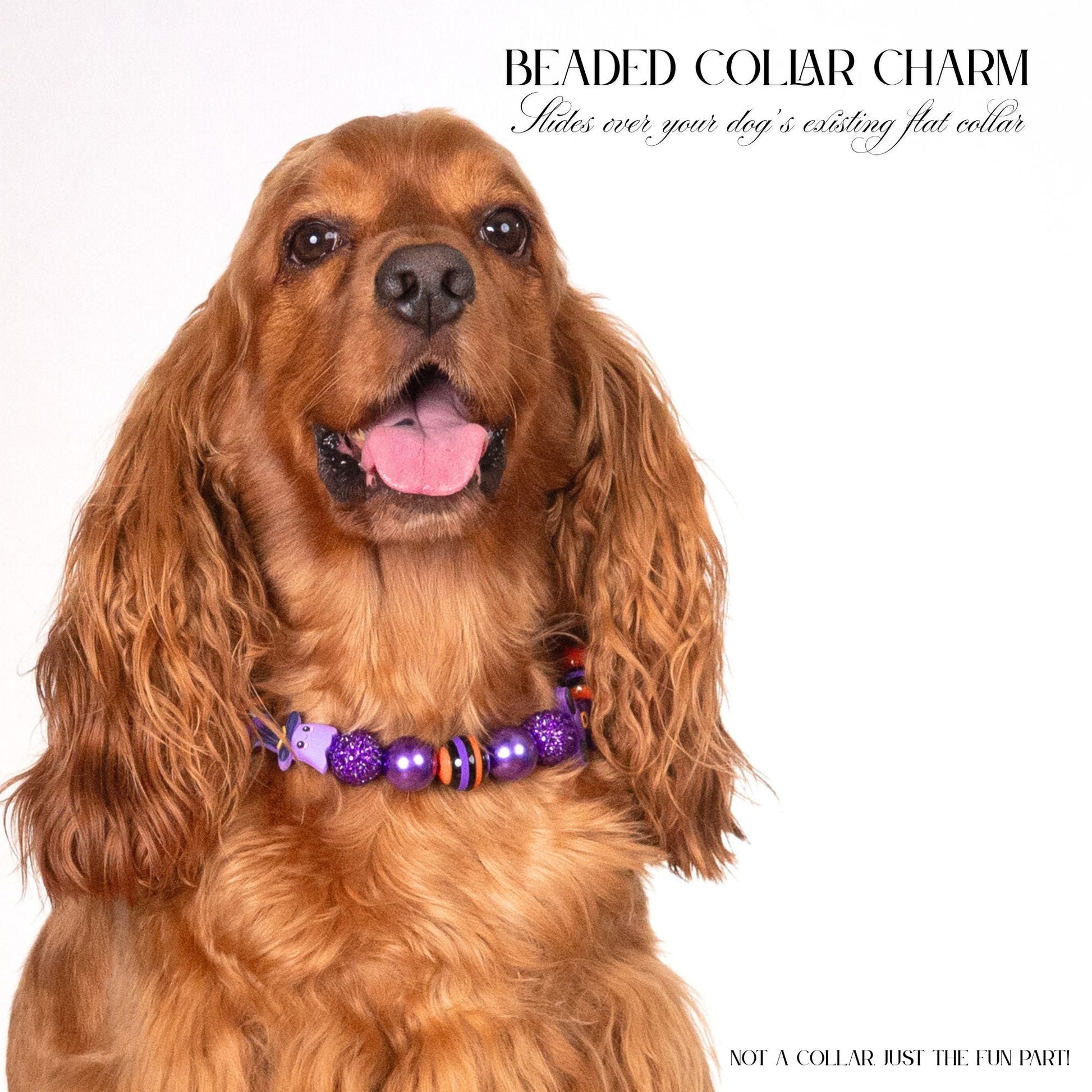 beaded dog necklace Orange & Purple Beads by Life for Pawz – Handmade for pets