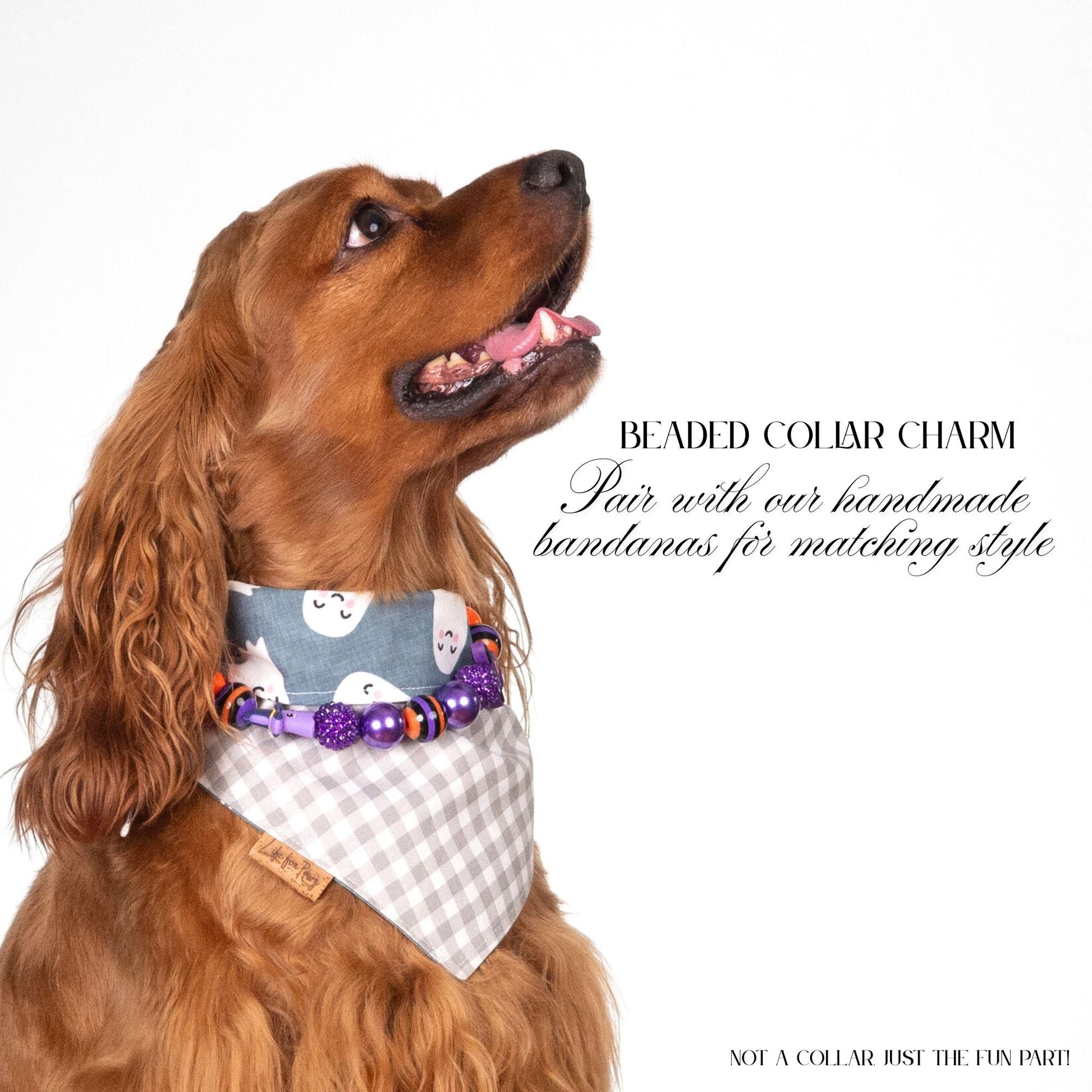 beaded dog necklace Orange & Purple Beads by Life for Pawz – Handmade for pets