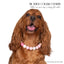 beaded dog necklace Pink Awareness Charm by Life for Pawz – Handmade for pets