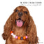 beaded dog necklace Pink & Orange Ghost Charm by Life for Pawz – Handmade for pets