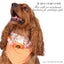 beaded dog necklace Pink & Orange Ghost Charm by Life for Pawz – Handmade for pets