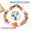 beaded dog necklace Pumpkin Harvest Charm by Life for Pawz – Handmade for pets