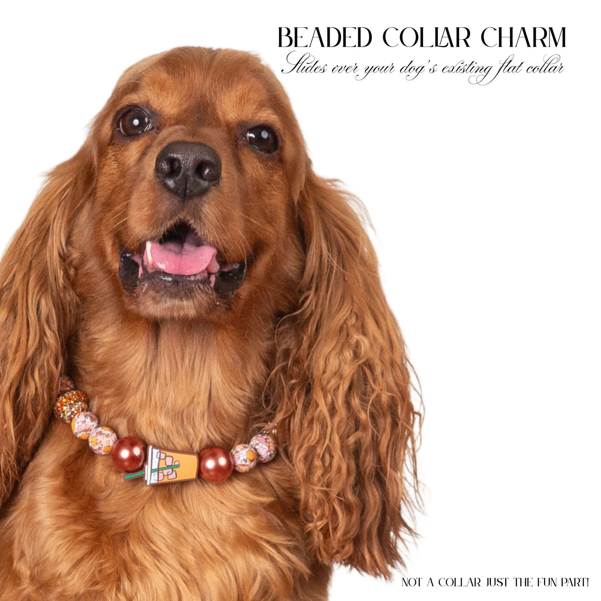beaded dog necklace Pumpkin Spice Latte Charm by Life for Pawz – Handmade for pets