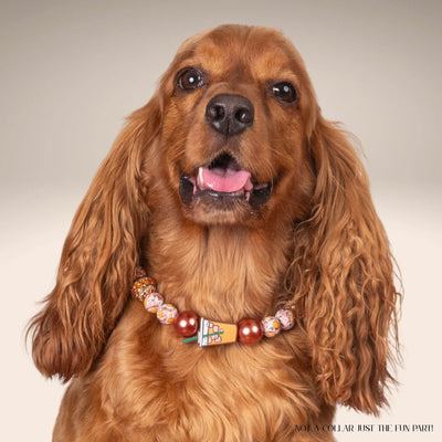 beaded dog necklace Pumpkin Spice Latte Charm by Life for Pawz – Handmade for pets