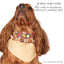 beaded dog necklace Pumpkin Spice Latte Charm by Life for Pawz – Handmade for pets