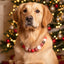 beaded dog necklace Santa & Snowflakes Christmas Beaded Dog Collar by Life for Pawz – Handmade for pets