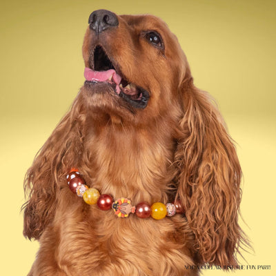 beaded dog necklace Thanksgiving Turkey Charm by Life for Pawz – Handmade for pets