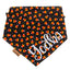 Bone Clasp Candy Corn Craze by Life for Pawz – Handmade for pets