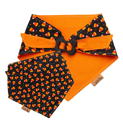 Bone Clasp Candy Corn Craze by Life for Pawz – Handmade for pets