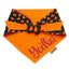 Bone Clasp Candy Corn Craze by Life for Pawz – Handmade for pets
