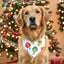 Bone Clasp Christmas Grinch Lights Bone Clasp Bandana by Life for Pawz – Handmade for pets