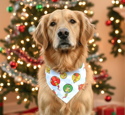 Bone Clasp Christmas Grinch Lights Bone Clasp Bandana by Life for Pawz – Handmade for pets