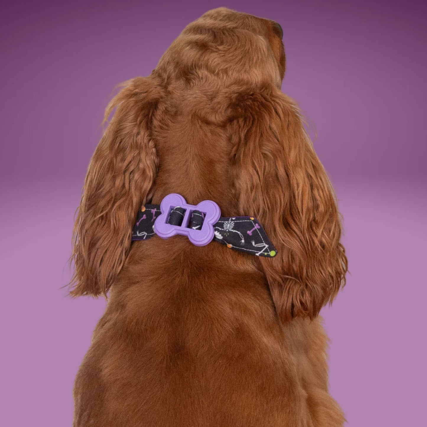 Bone Clasp Dancing Bones by Life for Pawz – Handmade for pets