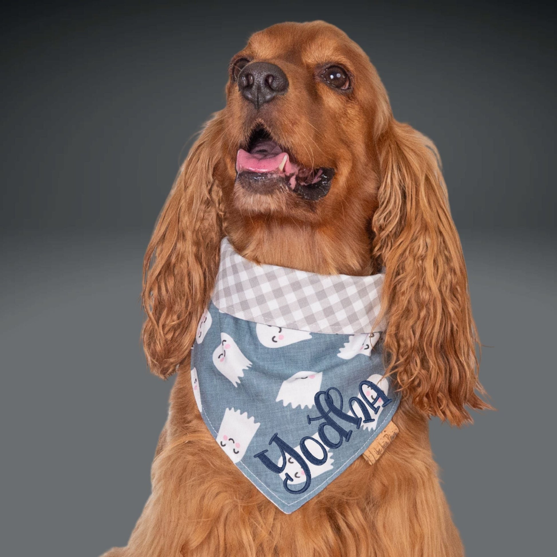 Bone Clasp Sweet Spirits by Life for Pawz – Handmade for pets