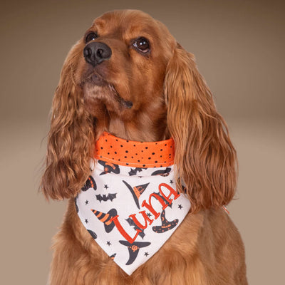 Bone Clasp Witchy Dots by Life for Pawz – Handmade for pets