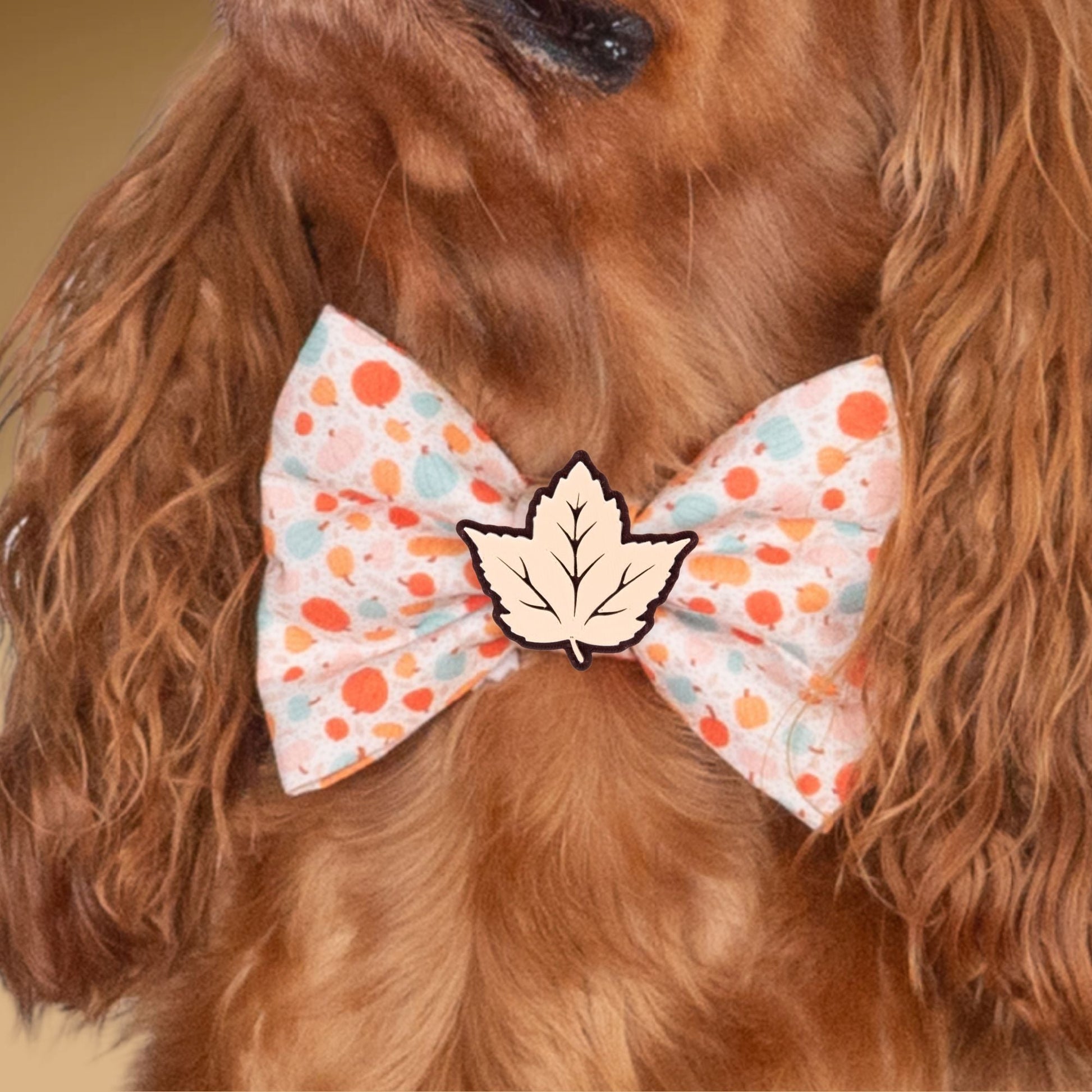 Bowtie Autumn Dots Bowtie by Life for Pawz – Handmade for pets