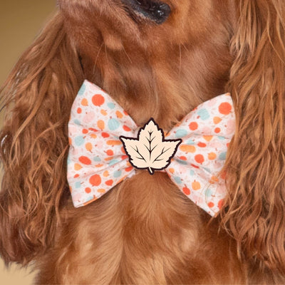 Bowtie Autumn Dots Bowtie by Life for Pawz – Handmade for pets