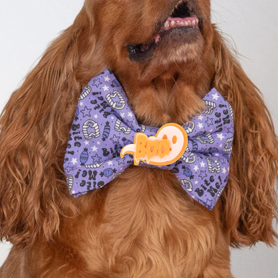 Bowtie Bite Me Halloween Bowtie by Life for Pawz – Handmade for pets