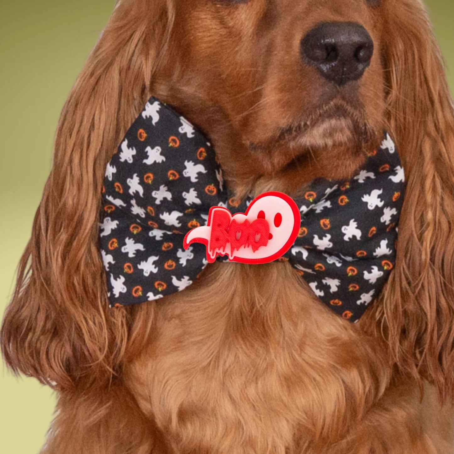 Bowtie Black Ghost Boo Bowtie by Life for Pawz – Handmade for pets