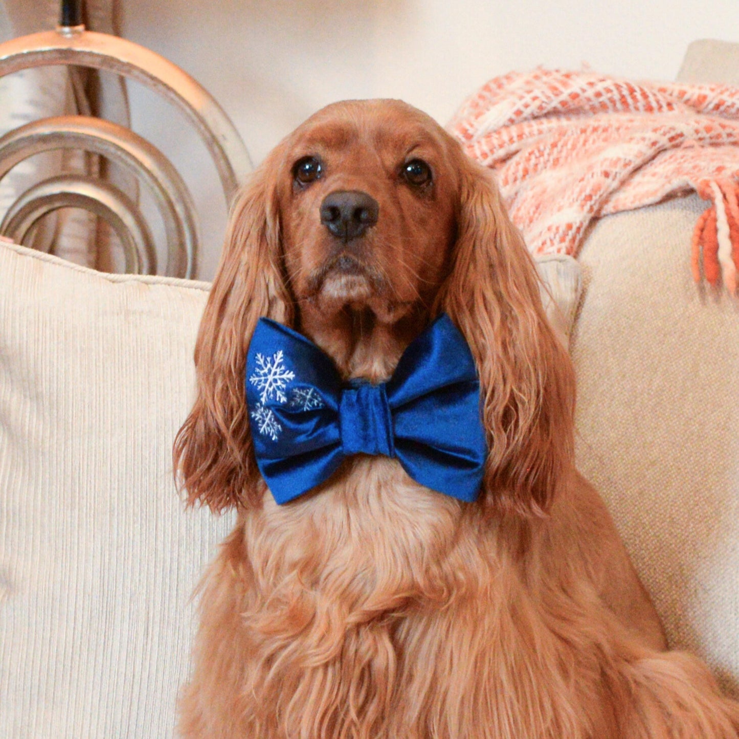 Bowtie Blue Velvet Dog Snowflake Bowtie by Life for Pawz – Handmade for pets