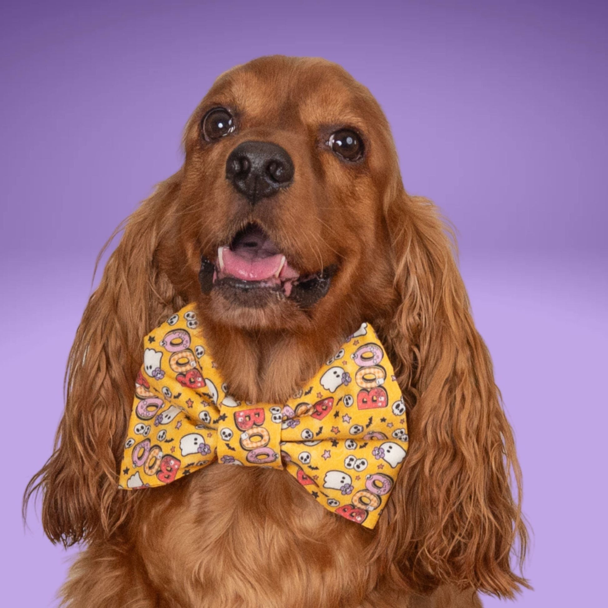 Bowtie BOO Ghost Bow by Life for Pawz – Handmade for pets