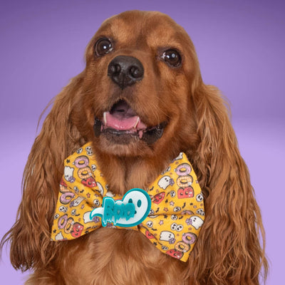Bowtie BOO Ghost Bow by Life for Pawz – Handmade for pets