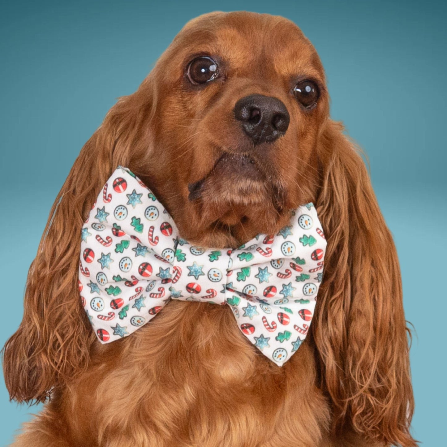 Bowtie Candy Cane Bowtie by Life for Pawz – Handmade for pets