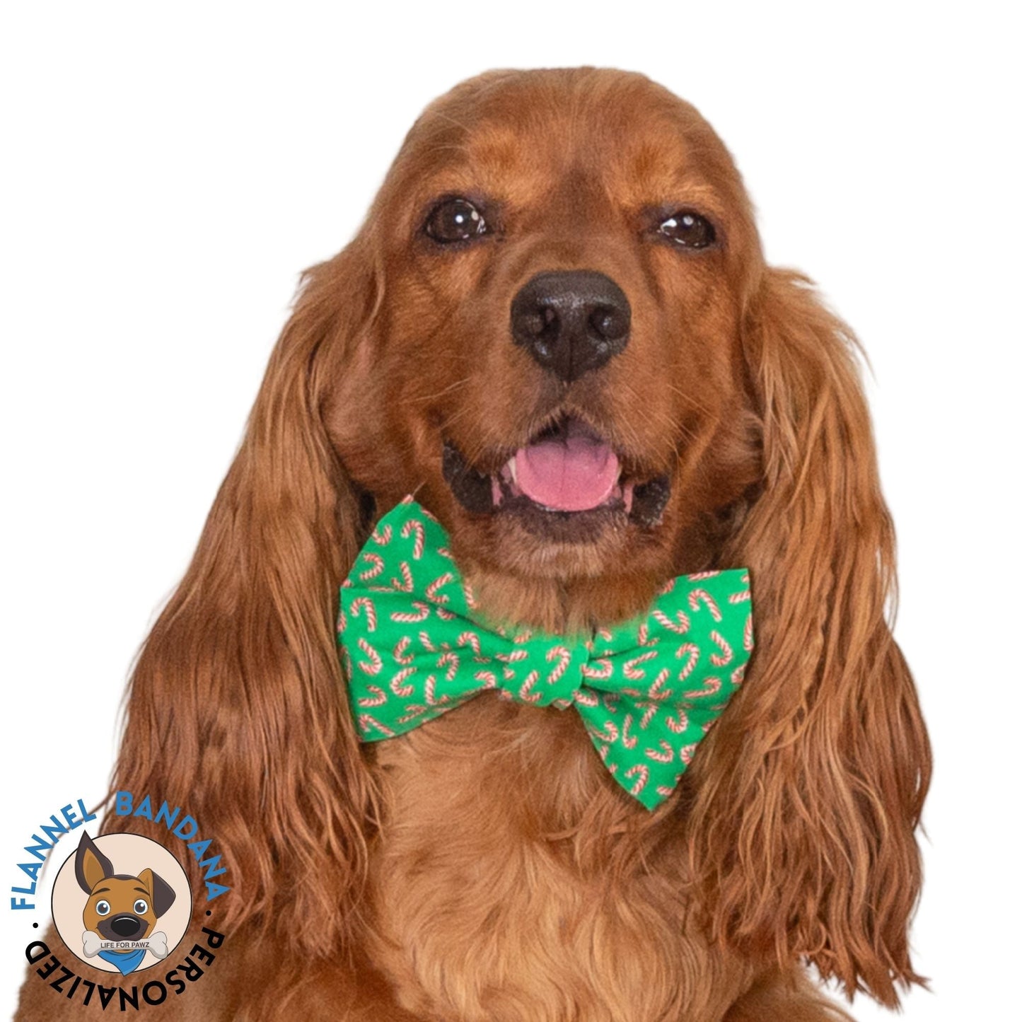Bowtie Candy Cane Christmas by Life for Pawz – Handmade for pets
