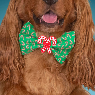 Bowtie Candy Cane Christmas by Life for Pawz – Handmade for pets