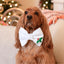 Bowtie Christmas Dog White Flannel Bowtie by Life for Pawz – Handmade for pets