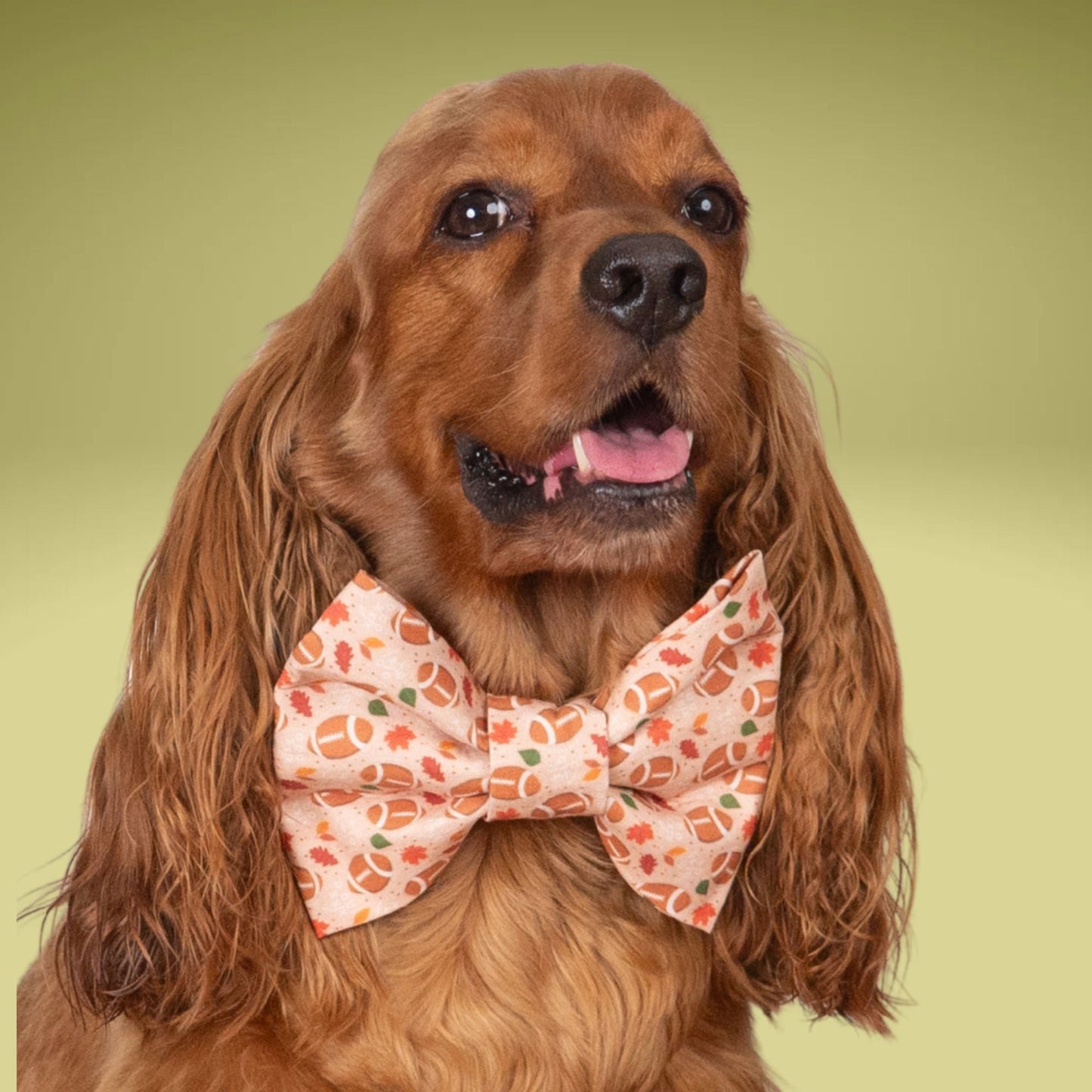 Bowtie Fall Football Bowtie by Life for Pawz – Handmade for pets