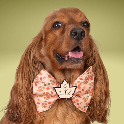 Bowtie Fall Football Bowtie by Life for Pawz – Handmade for pets