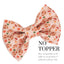 Bowtie Fall Football Bowtie by Life for Pawz – Handmade for pets