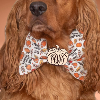 Bowtie Fall Football Text Bowtie by Life for Pawz – Handmade for pets