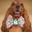 Bowtie Floral Ghost Fall Bowtie by Life for Pawz – Handmade for pets