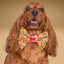 Bowtie Future Treats Bowtie by Life for Pawz – Handmade for pets