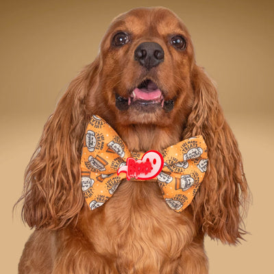 Bowtie Future Treats Bowtie by Life for Pawz – Handmade for pets