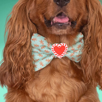 Bowtie Gingerbread Holiday Bowtie by Life for Pawz – Handmade for pets