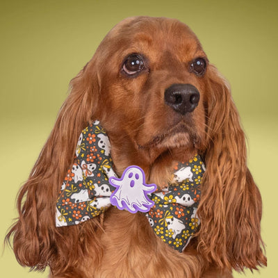 Bowtie Glow - in - the - Dark Ghost Bowtie by Life for Pawz – Handmade for pets