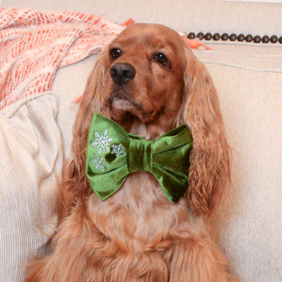 Bowtie Green Velvet Dog Bow Tie by Life for Pawz – Handmade for pets