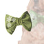 Bowtie Green Velvet Dog Bow Tie by Life for Pawz – Handmade for pets