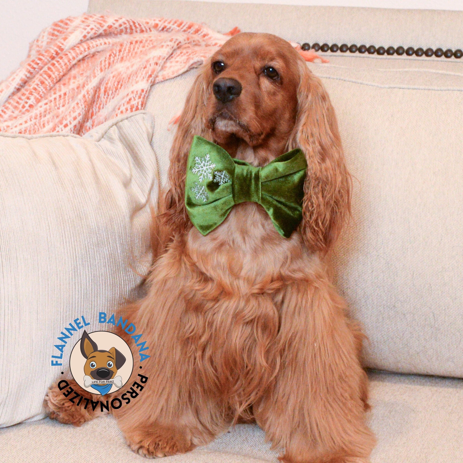 Bowtie Green Velvet Dog Bow Tie by Life for Pawz – Handmade for pets