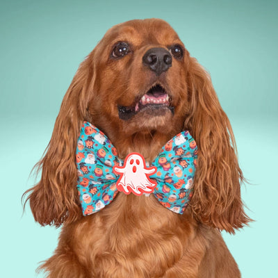 Bowtie Halloween Faces Bowtie by Life for Pawz – Handmade for pets