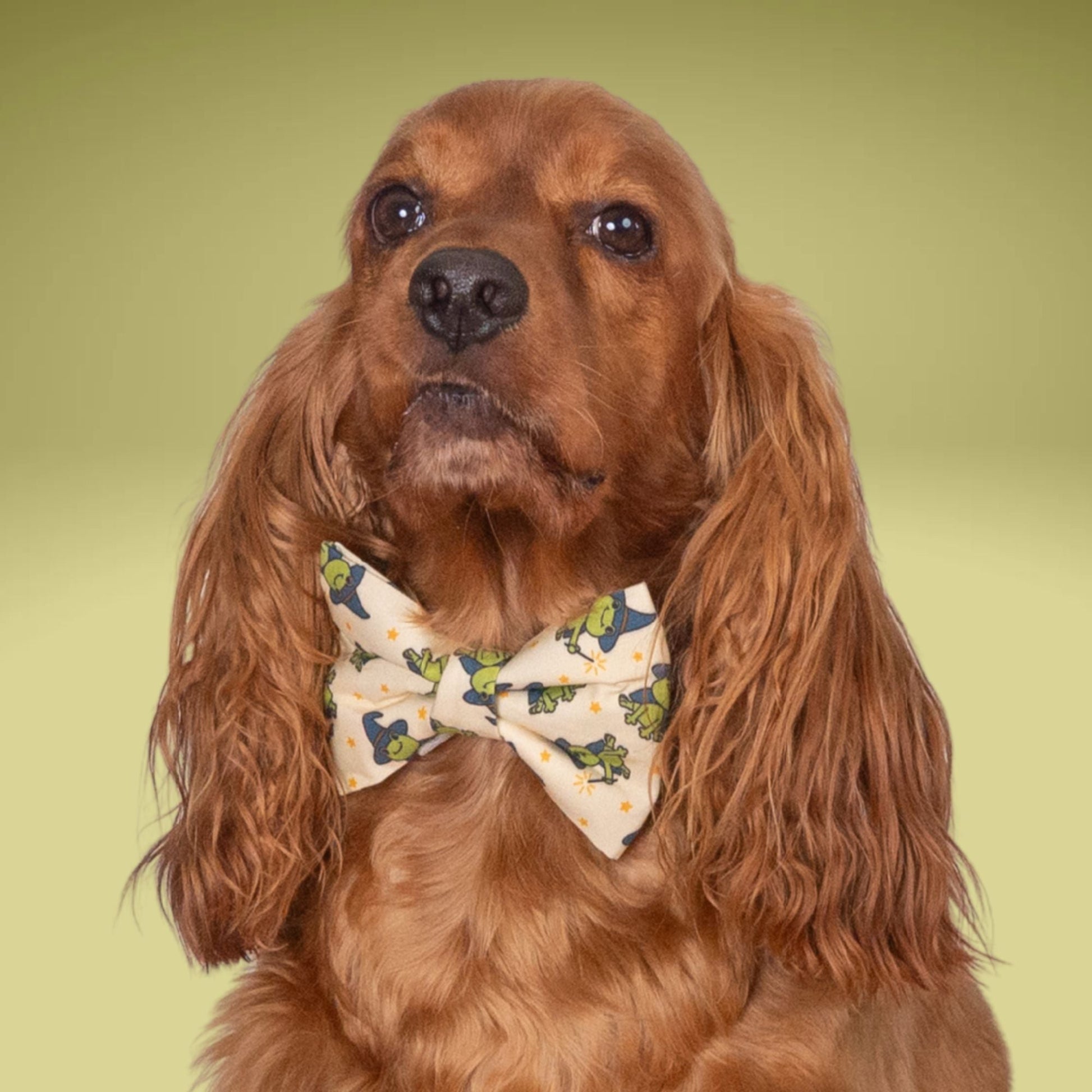 Bowtie Halloween Frog Bowtie with Initial by Life for Pawz – Handmade for pets
