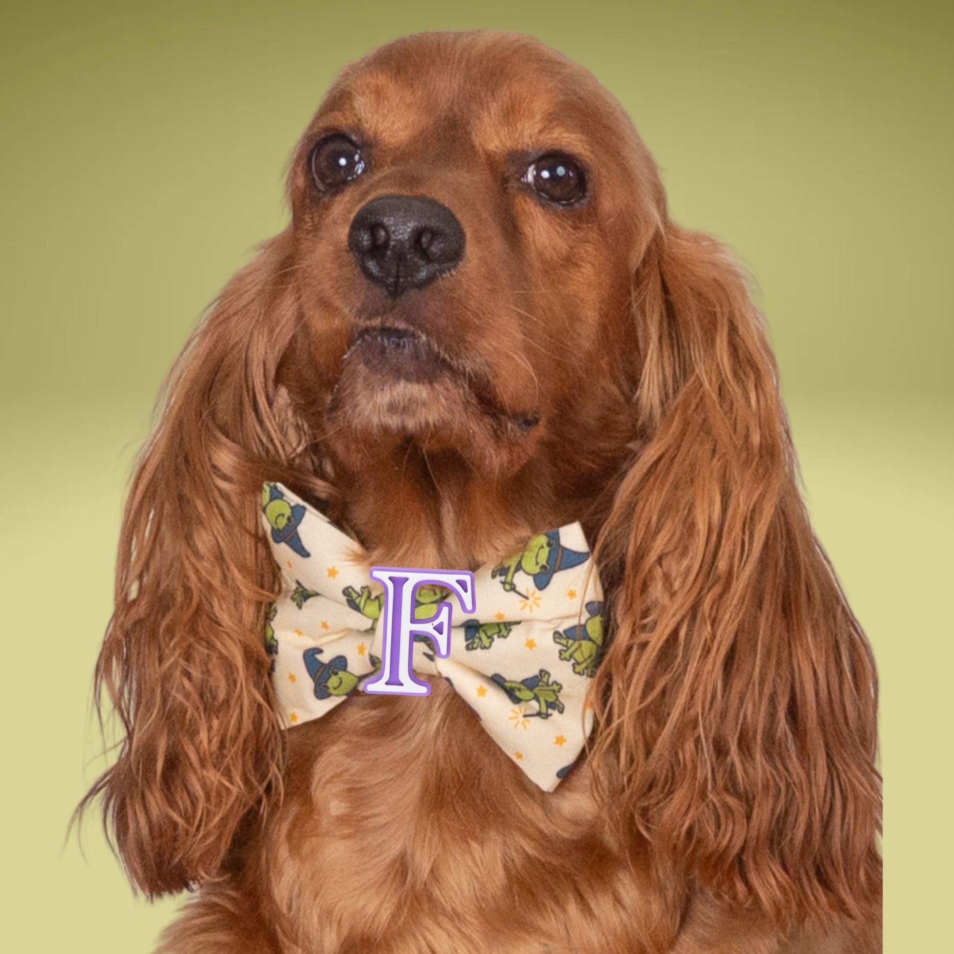 Bowtie Halloween Frog Bowtie with Initial by Life for Pawz – Handmade for pets
